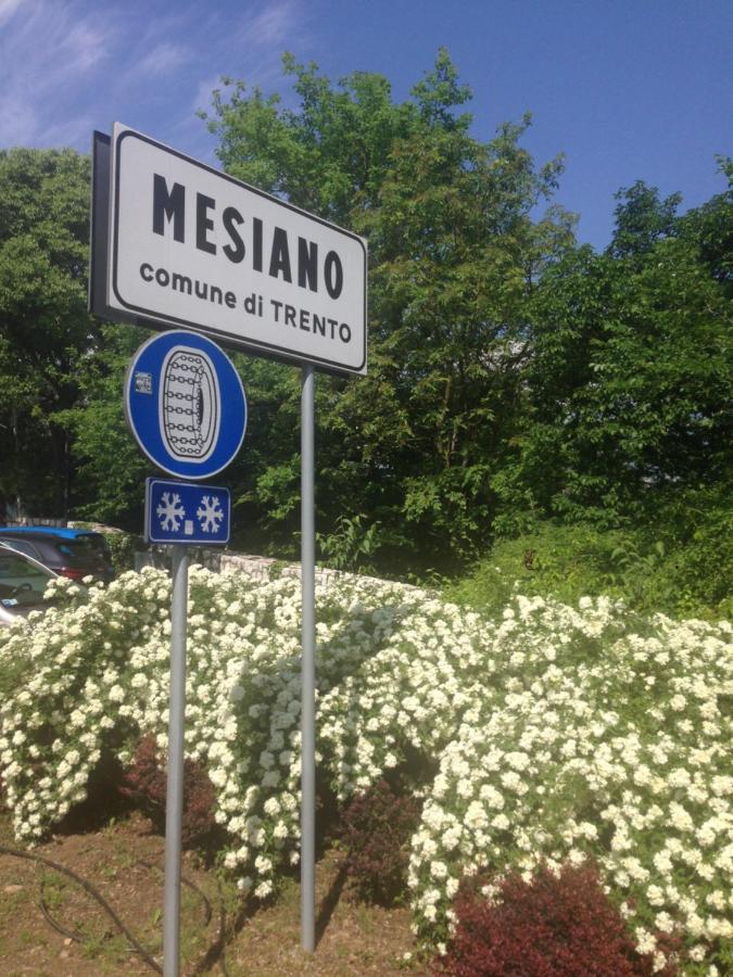 Nel Trento